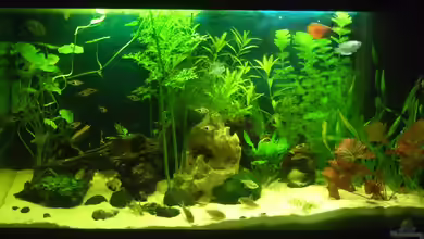 auf Sand gebaut von Martino69