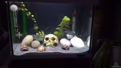 Aufzucht Station von Kevin Engelsberger