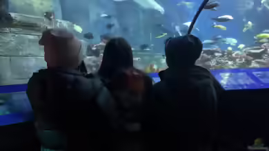 Ausflug zum Sea Life nach München Teil 1/2