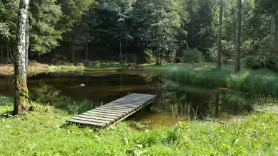 Ausstiegshilfen am Gartenteich: Jetzt überprüfen