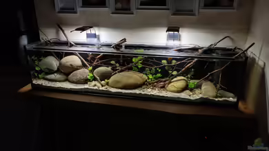 BachBecken von Tim Buktu