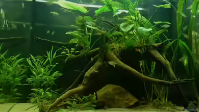 Back in the game von Alex S