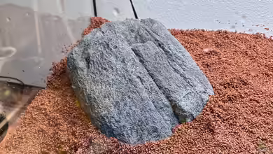 Back-to-Nature Sinking Stones - Natürliche Steine für authentische Aquarienlandschaften