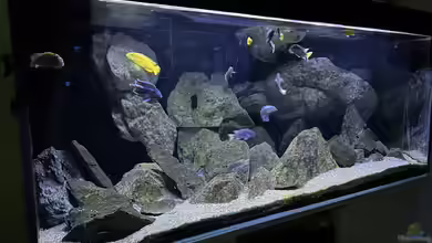 Back to the stones von der Steirer