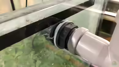 Bau eines Aquarien-Kellers, Teil ACHT, Sommer 2019