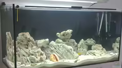 Becken 10065 von Christoph Hofmann