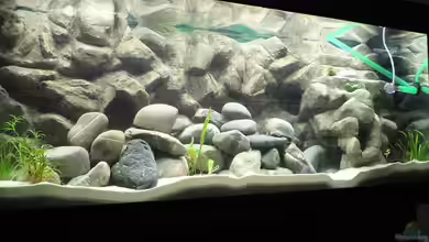 Becken 10109 von Thobi