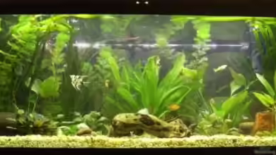 Becken 10120 von Marco K.