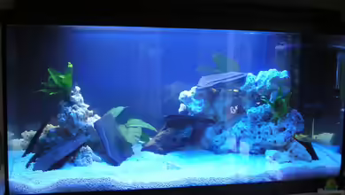 Becken 1014 von Bernd Lottholz