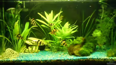 Becken 10143 von Janik Ruser