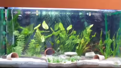 Becken 10145 von Volker Roedenbeck