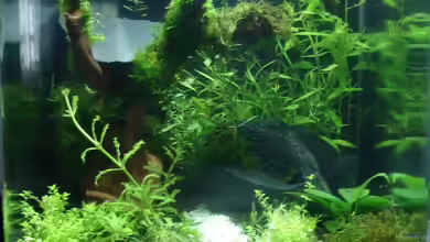 Becken 10254 von quickmike