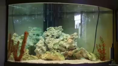 Becken 10286 von Svenja