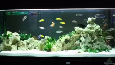 Becken 10326 von Axel Dworak