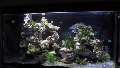 Becken 10355 von malawigome