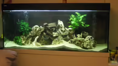 Becken 1036 von Bjoern Spiegelhoff