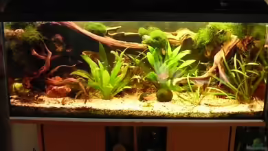 Becken 10407 von Teufelchen79