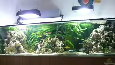 Becken 1044 von Rainer Klettke