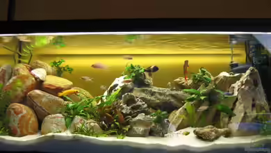 Becken 10456 von Bene92