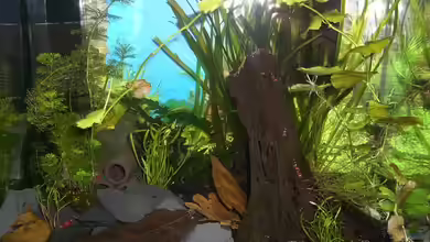 Becken 10470 von c4L!m3ro