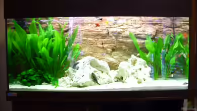 Becken 10481 von sassi259