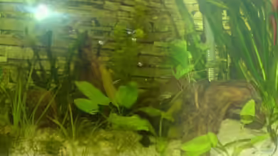 Becken 10500 von elmo