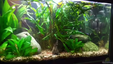 Becken 10751 - Becken n icht mehr aktiv von Stefan Hartl