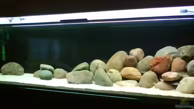 Becken 10771 von Blubb Blubb