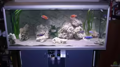 Becken 10773 von Roland Figura