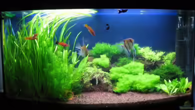 Becken 1090 von Nachtwächter