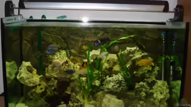 Becken 10914 von Andreas Deutschmann