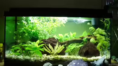 Becken 10949 von Oimel