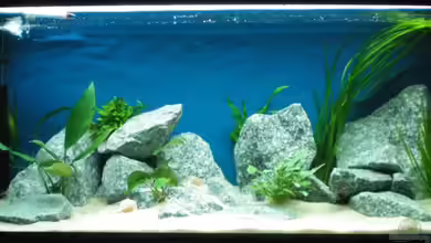 Becken 10978 von marco_0