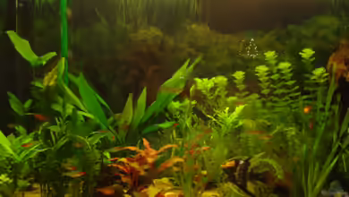 Becken 11021 von Martina & Andreas Deutschmann