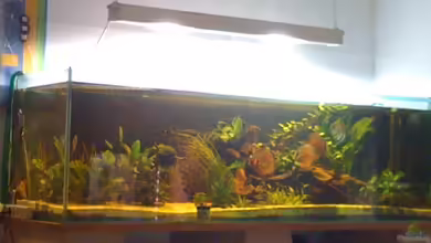 Becken 11026 von Andreas Binder