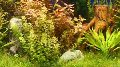 Becken 11042 von Andreas Christ