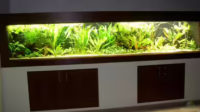 Becken 1105 von Uwe Krowiorsch