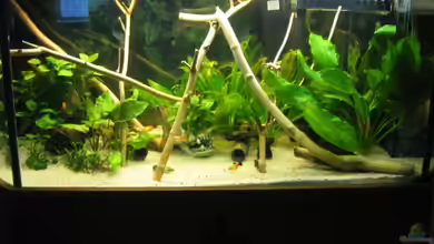 Becken 11130 von TNTLogge