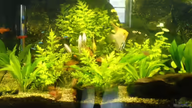 Becken 11168 von Volker Prager