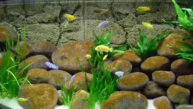 Becken 11195 von Markus Bovermann