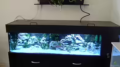 Becken 1120 von Steffen Langer