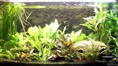 Becken 11220 von Oliver Bäcker