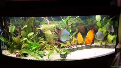 Becken 11303 von Steffen Rübsam