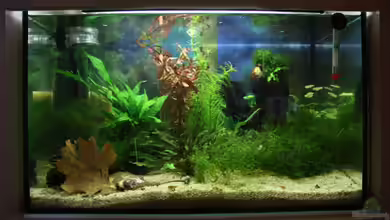 Becken 11314 von Freddy