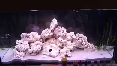 Becken 11330 von Marcel Düsterhöft