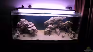 Becken 115 von Karsten Garn