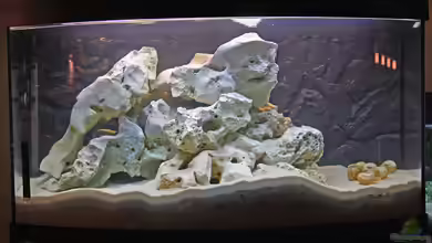 Becken 11529 von DJay77