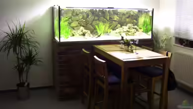 Becken 11633 von Daniel Tenner