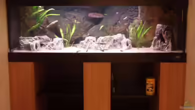 Becken 1181 von Heiko Kazmierczak