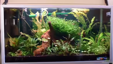 Becken 1187 von Markus Gode